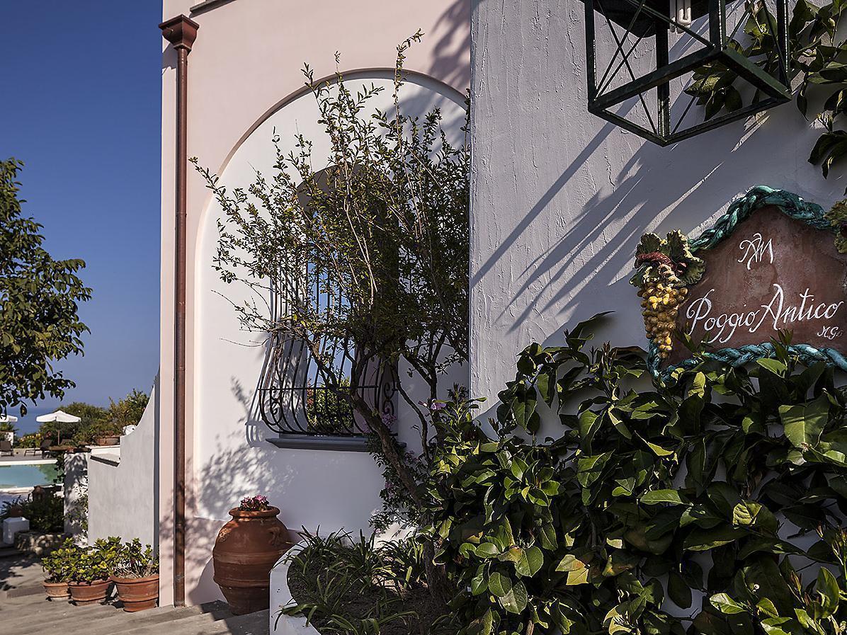 Tenuta Del Poggio Antico Forio di Ischia Zewnętrze zdjęcie